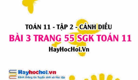 Bài 3 trang 55 Toán 11 tập 2 Cánh Diều